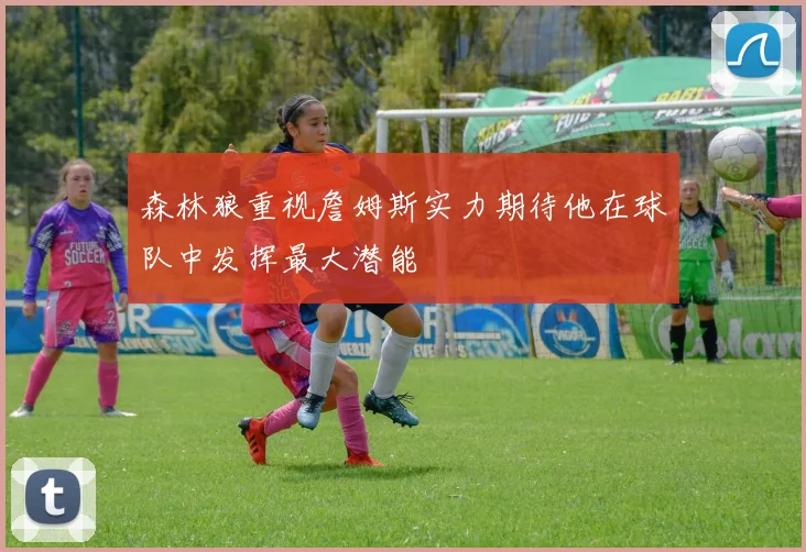 森林狼重视詹姆斯实力期待他在球队中发挥最大潜能